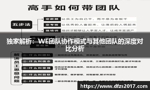 独家解析：WE团队协作模式与其他团队的深度对比分析