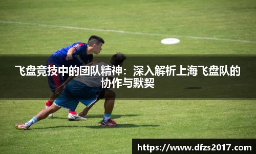 飞盘竞技中的团队精神：深入解析上海飞盘队的协作与默契