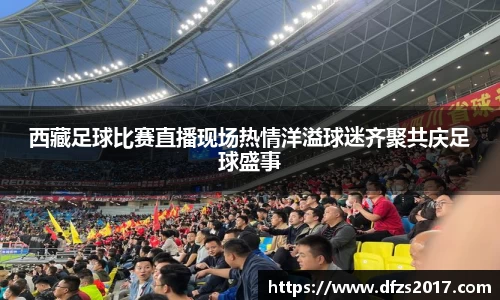 西藏足球比赛直播现场热情洋溢球迷齐聚共庆足球盛事
