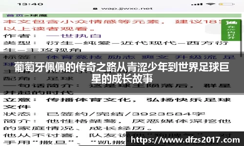 EMC易倍官网